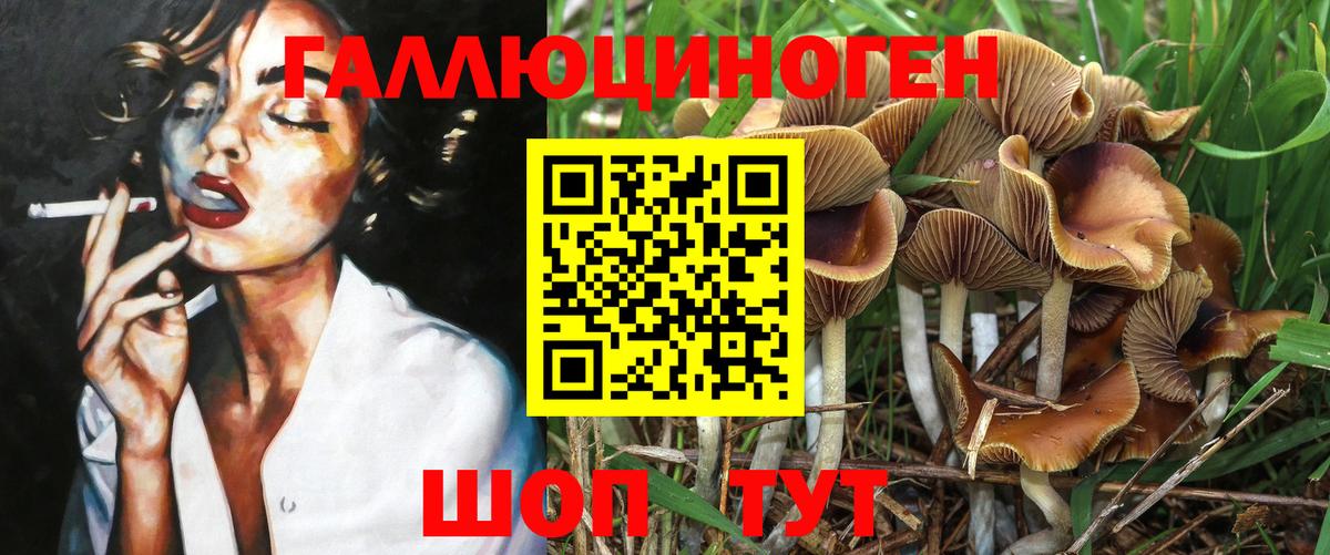Псилоцибиновые грибы GOLDEN TEACHER  Галлюциногенные грибы мицелий  наркошоп  Вход с VPN  Мценск 