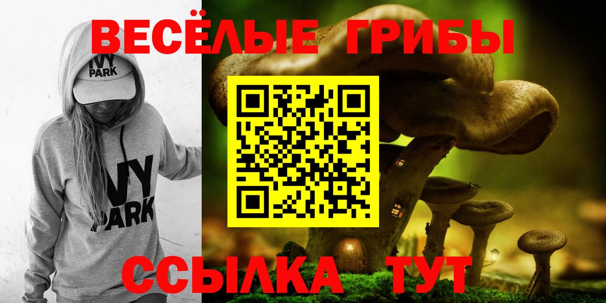 Псилоцибиновые грибы Psilocybe Мценск